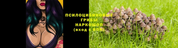 мяу мяу мука Армянск