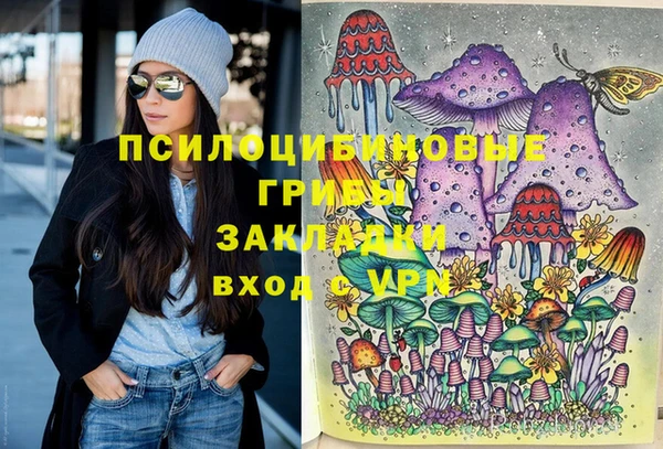 apvp Арсеньев