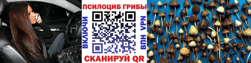 блэк спрут ONION  Артёмовский  Галлюциногенные грибы Cubensis  сколько стоит 